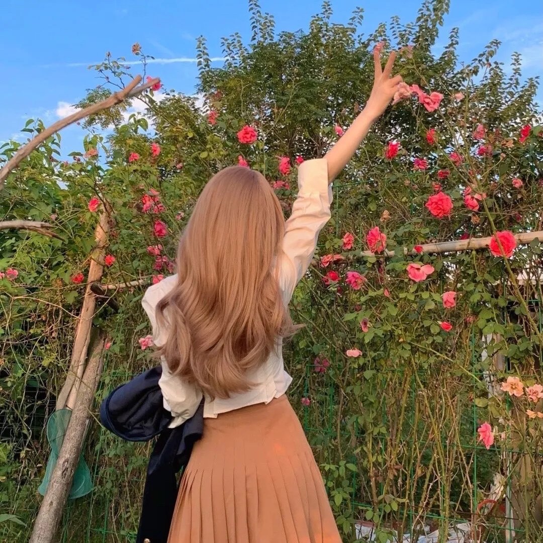 摄影师贝尔蒂与海豚零距离