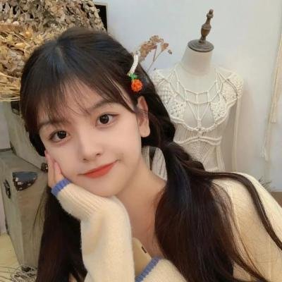 超级女特工国语